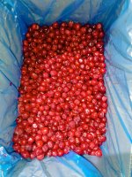 Замороженная вишня