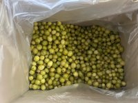 Крыжовник замороженный